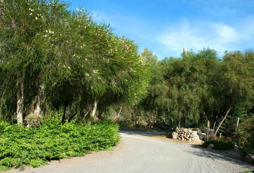 Номер Стандарт, Il Vecchioliveto Di Ornella