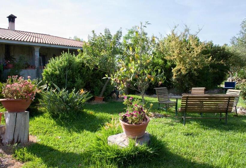 Четырехместный Номер Стандарт, Il Vecchioliveto Di Ornella