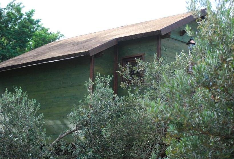 Дом 1 Спальня, Palazzo Conforti Tree House Resort
