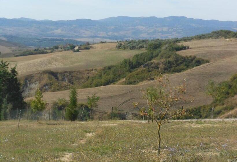 Номер Стандарт, Agriturismo Collomici