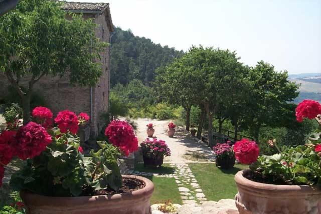 آپارتمان 3 خوابه, L Oasi