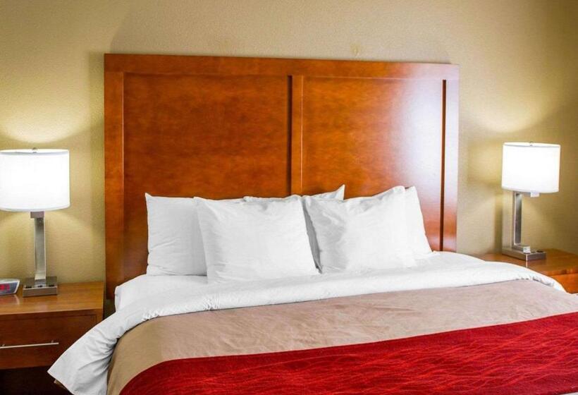 Люкс Кровать Кинг, Comfort Inn & Suites Coralville  Iowa City Near Iowa River Landing