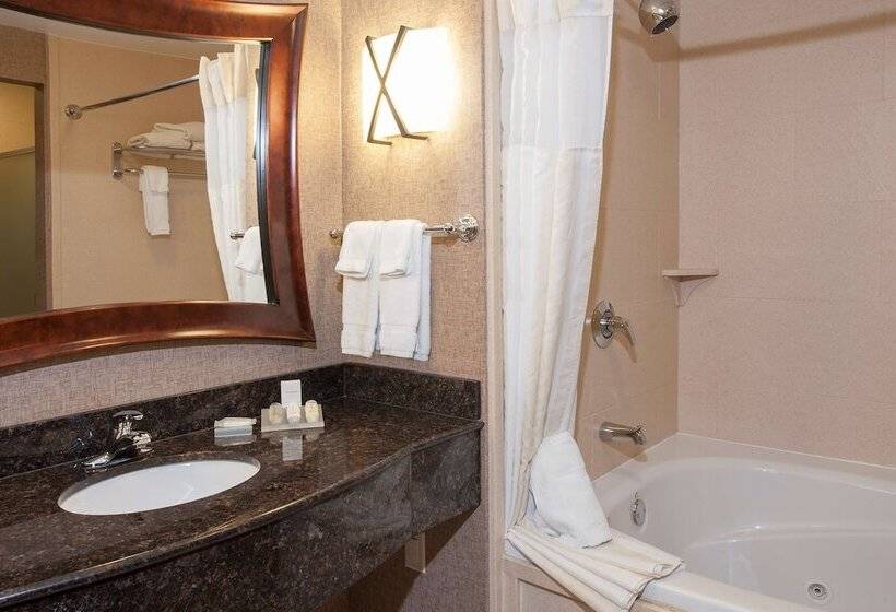 Standard Værelse, Hilton Garden Inn Indianapolis South/greenwood