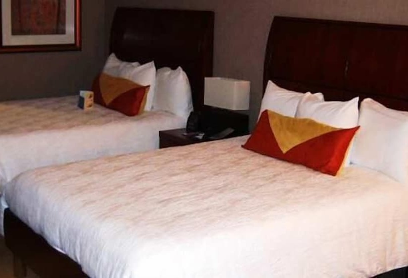 اتاق استاندارد, Hilton Garden Inn Indianapolis South/greenwood