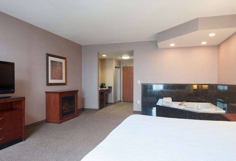Standard Værelse Tilpasset til Handicappede, Hilton Garden Inn Indianapolis South/greenwood