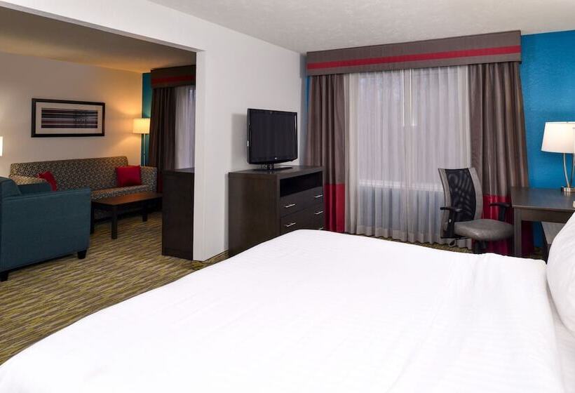 Люкс, Holiday Inn Express Hotel & Suites Omaha West, An Ihg