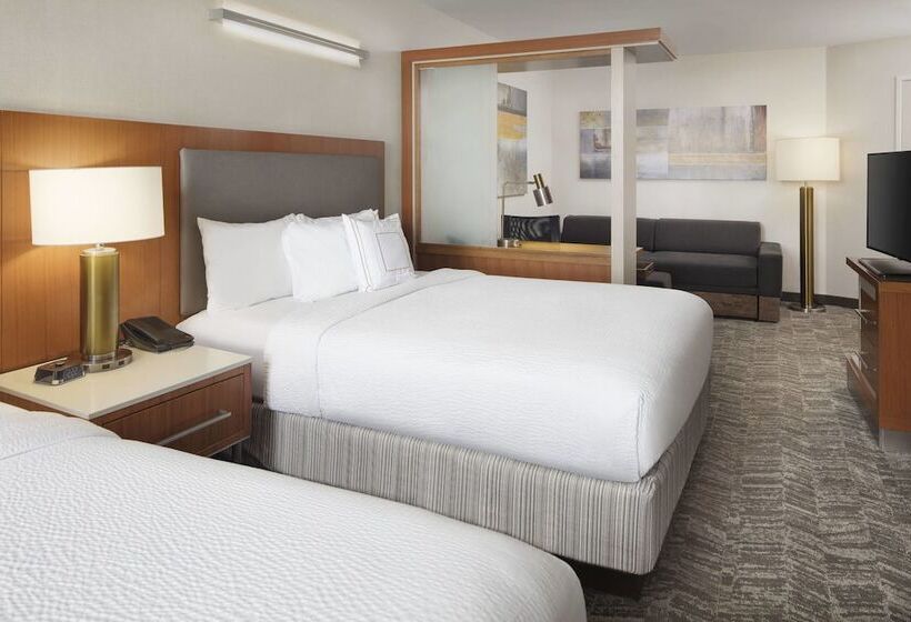 Standaard Studio, Springhill Suites Indianapolis Downtown