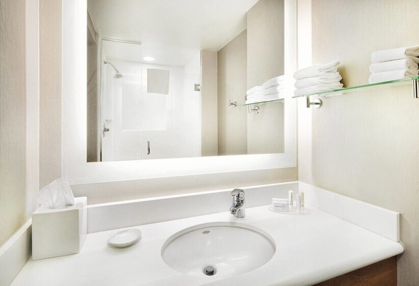 Standaard Studio met Uitzicht, Springhill Suites Indianapolis Downtown
