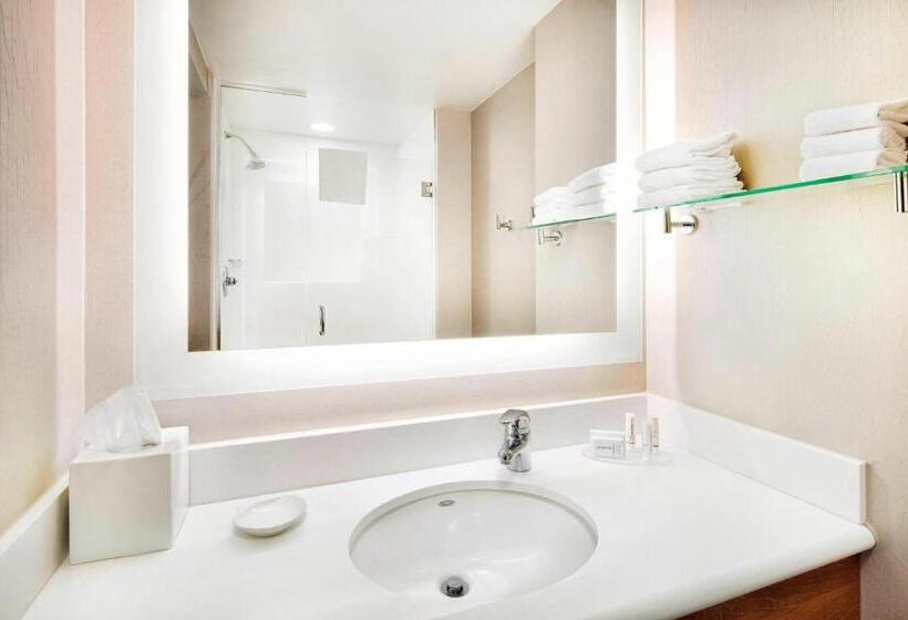 Standaard Studio met Kingsize Bed, Springhill Suites Indianapolis Downtown