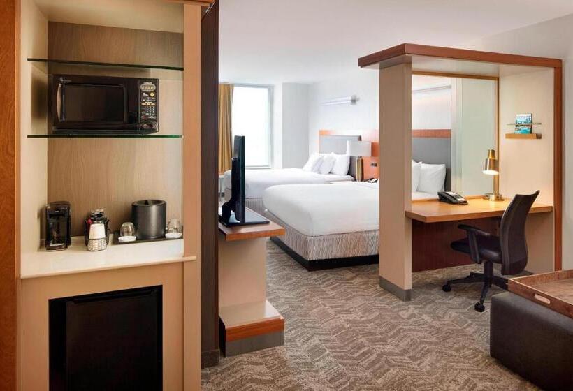 Standaard Studio, Springhill Suites Indianapolis Downtown