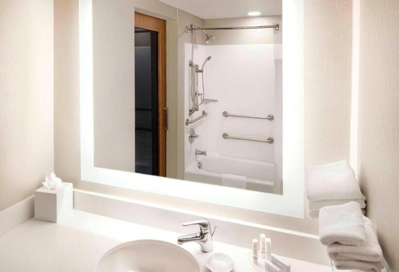 Standaard Studio met Uitzicht op de Stad, Springhill Suites Indianapolis Downtown