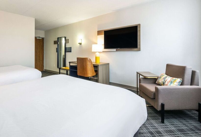 带2个双人床的标准工作室, Comfort Inn & Suites