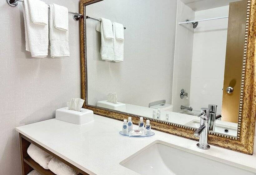 套房, Comfort Inn & Suites