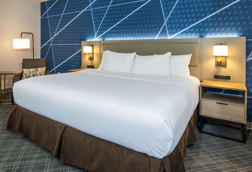 套房, Comfort Inn & Suites