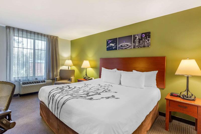 キングサイズベッドのスタンダードルーム, Sleep Inn & Suites Jacksonville West