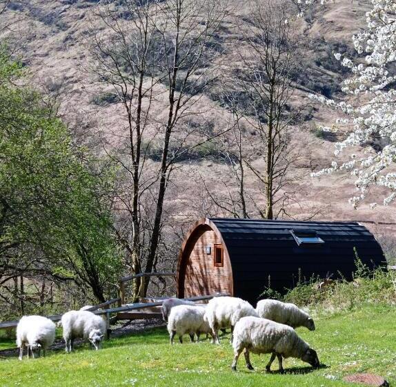 Шале 1 Спальня, Glencoe Youth Hostel