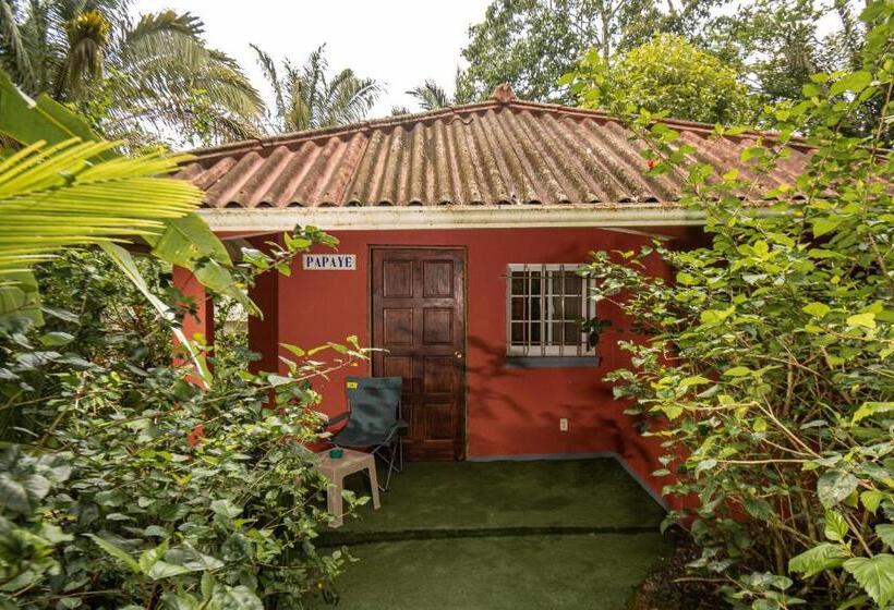 Бунгало Superior, Monkey Lodge Panama