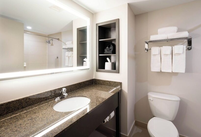 스탠다드 룸, Holiday Inn Express Kingston Central, An Ihg