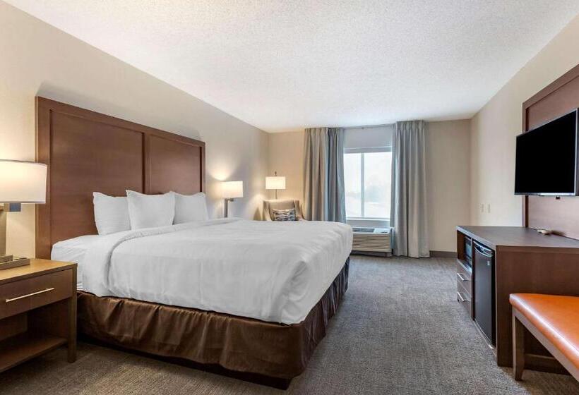 스탠다드 룸 킹사이즈 침대, Comfort Inn & Suites Chestertown