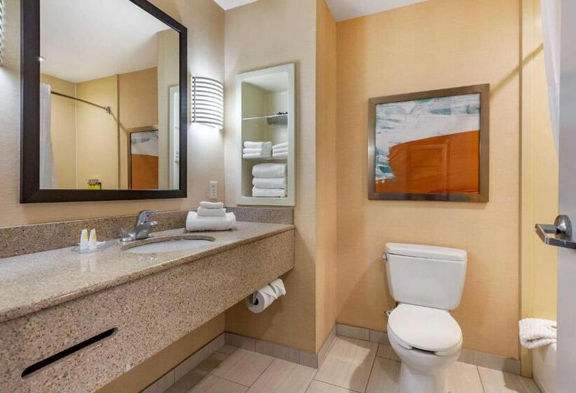 장애인을 위한 킹사이즈 침대 스탠다드 룸, Comfort Inn & Suites Chestertown