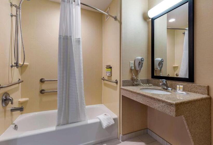 Люкс Адаптированный для Инвалидов, Comfort Inn & Suites Chestertown