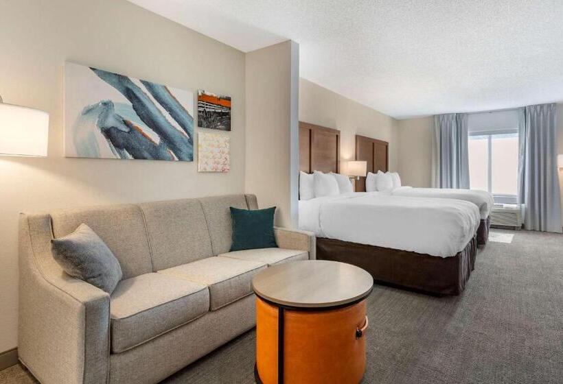Люкс Адаптированный для Инвалидов, Comfort Inn & Suites Chestertown