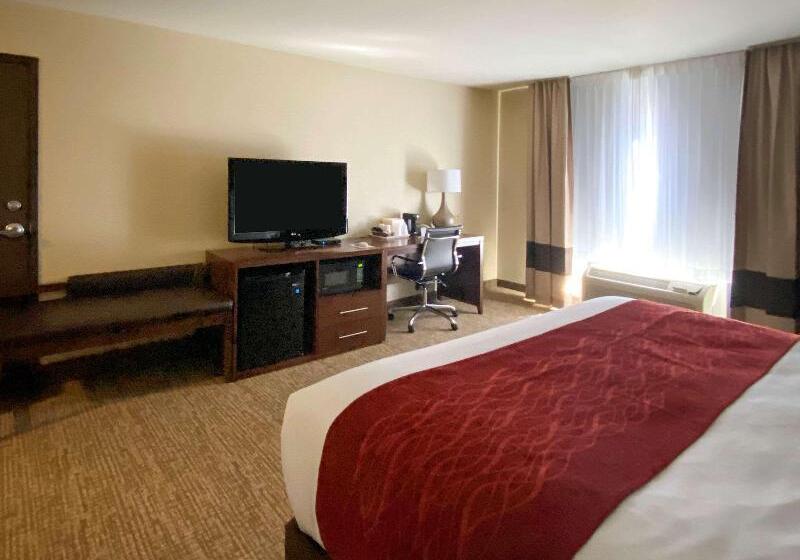 Номер Стандарт Кровать Кинг Адаптированный для Инвалидов, Comfort Inn & Suites