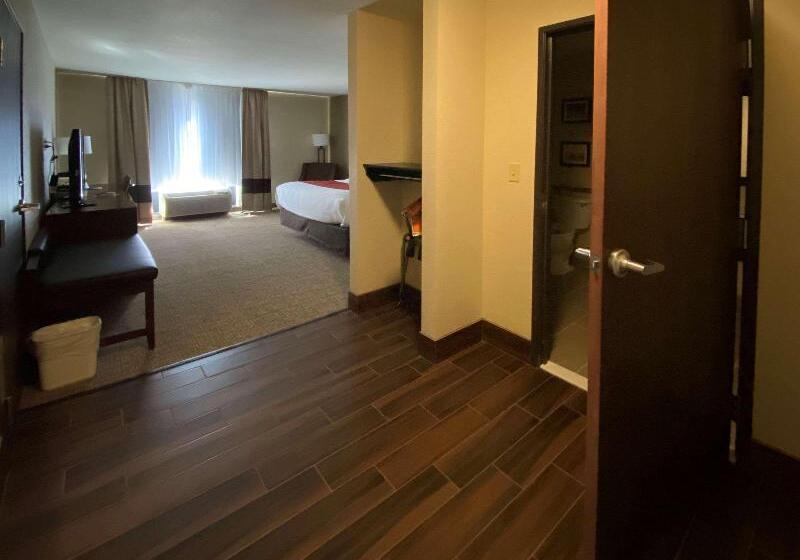 Номер Стандарт Адаптированный для Инвалидов, Comfort Inn & Suites