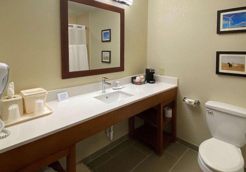 스탠다드 룸 킹사이즈 침대, Comfort Inn & Suites