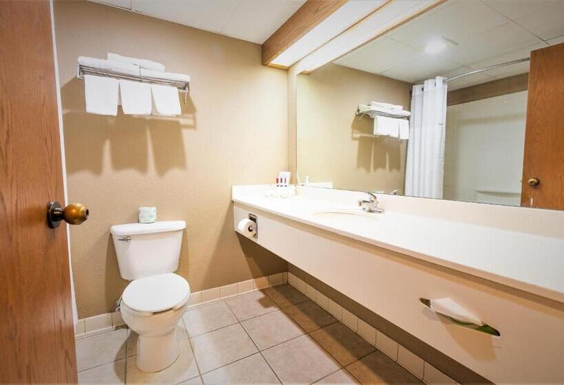 带大床的套房, Days Inn & Suites By Wyndham Cuba
