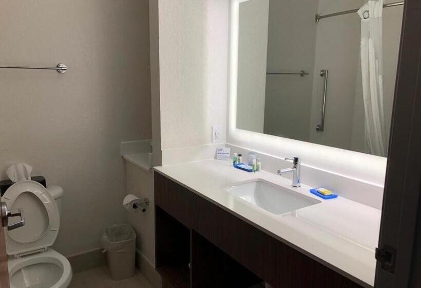 스탠다드 룸, Holiday Inn Express Hotel & Suites Franklin, An Ihg