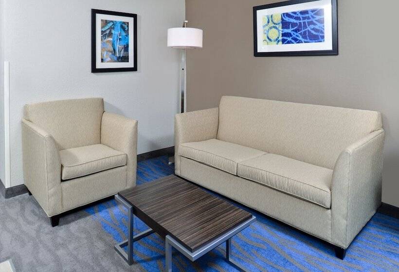 Люкс, Holiday Inn Express Hotel & Suites St. Louis West O Fallon, An Ihg