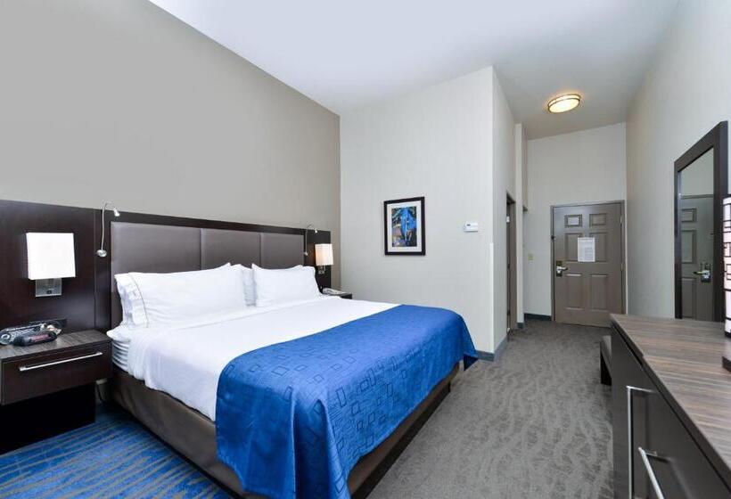 غرفة قياسية سرير كينج, Holiday Inn Express Hotel & Suites St. Louis West O Fallon, An Ihg