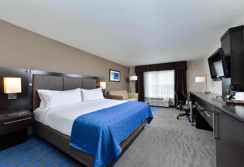 Полулюкс, Holiday Inn Express Hotel & Suites St. Louis West O Fallon, An Ihg