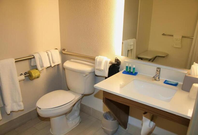 장애인을 위한 킹사이즈 침대 스탠다드 룸, Holiday Inn Express, An Ihg
