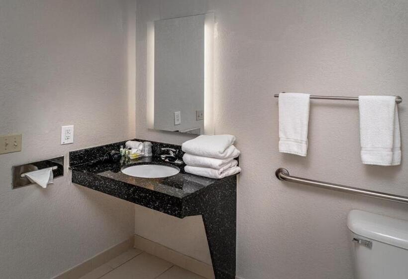 장애인을 위한 킹사이즈 침대 스탠다드 룸, Holiday Inn Express And Suites Pikeville, An Ihg