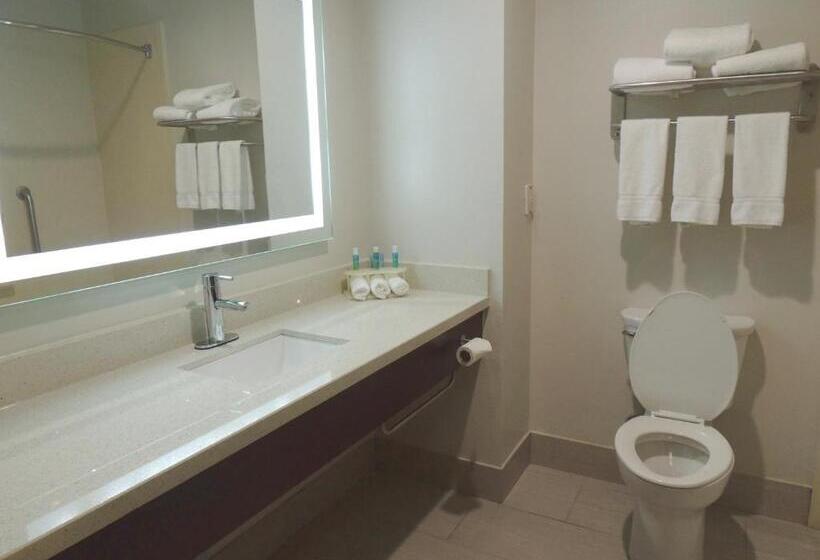 장애인을 위한 킹사이즈 침대 스탠다드 룸, Holiday Inn Express Trussville, An Ihg
