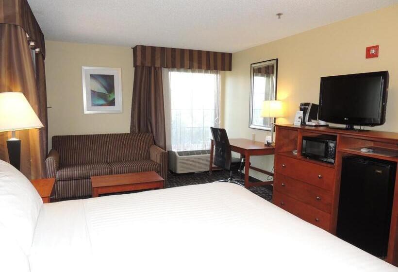 스탠다드 룸 킹사이즈 침대, Holiday Inn Express Trussville, An Ihg