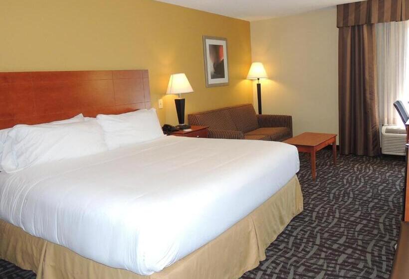 스탠다드 룸 킹사이즈 침대, Holiday Inn Express Trussville, An Ihg