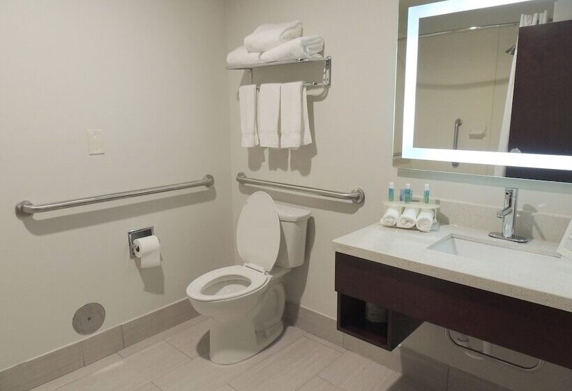 장애인을 위한 스위트, Holiday Inn Express Trussville, An Ihg