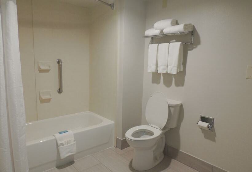 스위트, Holiday Inn Express Trussville, An Ihg