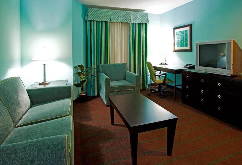 장애인용 디럭스룸, Holiday Inn Hotel & Suites Ocala Conference Center, An Ihg