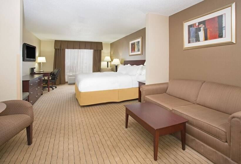 スイート, Holiday Inn Express Hotel & Suites Minot South, An Ihg