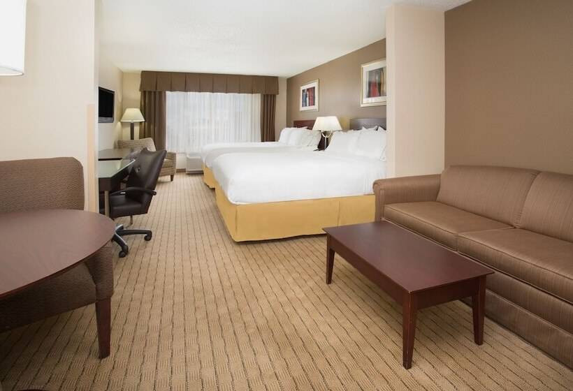 スイート, Holiday Inn Express Hotel & Suites Minot South, An Ihg