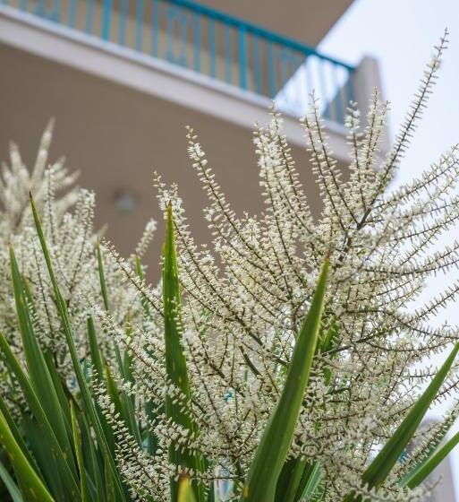 شقة غرفتين, Kyveli Apartments