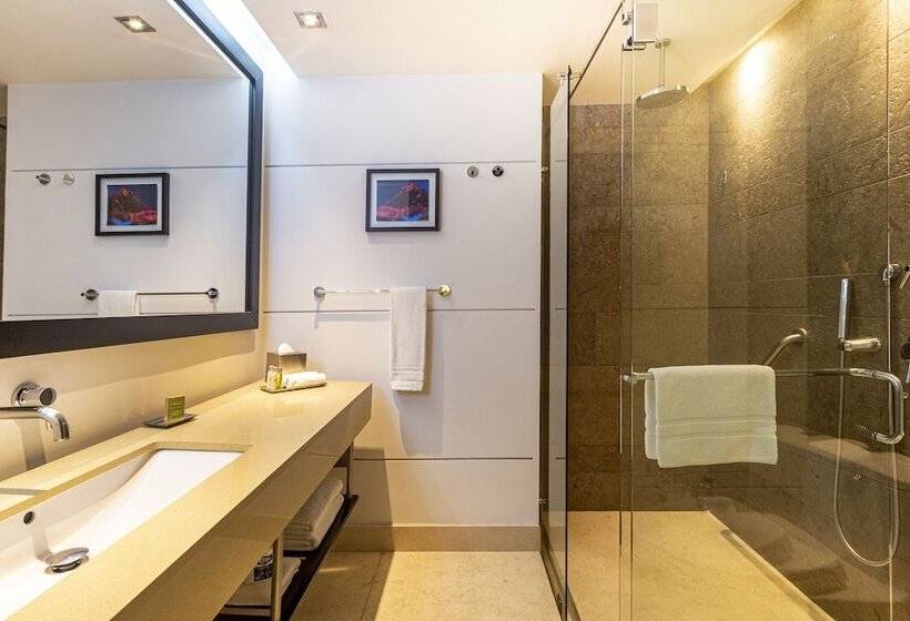 اتاق اجرایی, Hilton Bogota