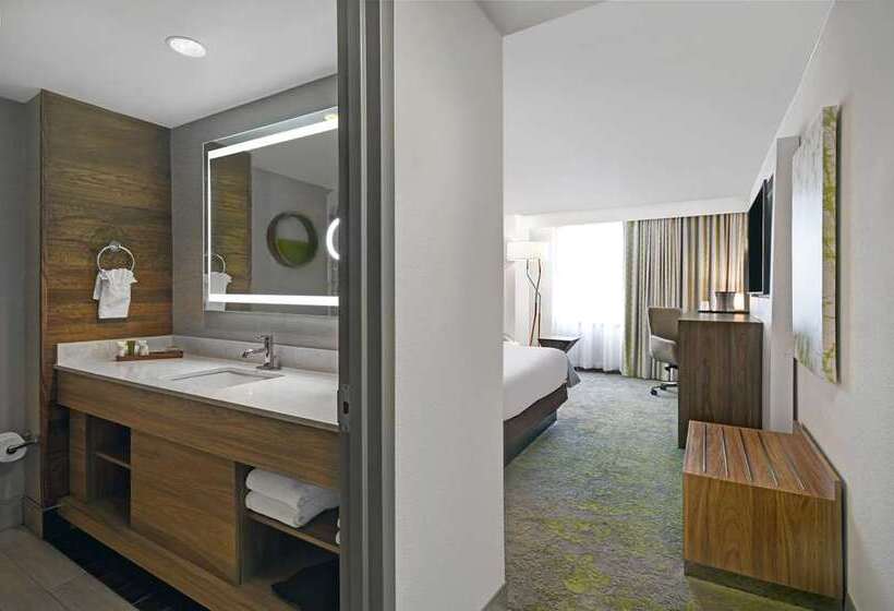 اتاق استاندارد با تخت بزرگ, Hilton Bogota