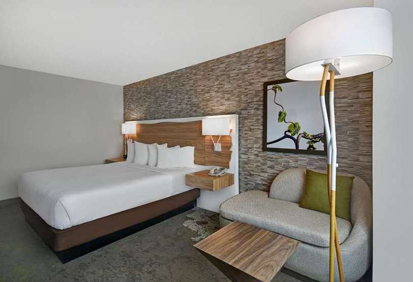 اتاق استاندارد با تخت بزرگ, Hilton Bogota