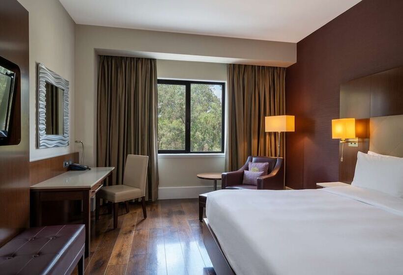 اتاق استاندارد, Radisson Blu Hotel, Addis Ababa