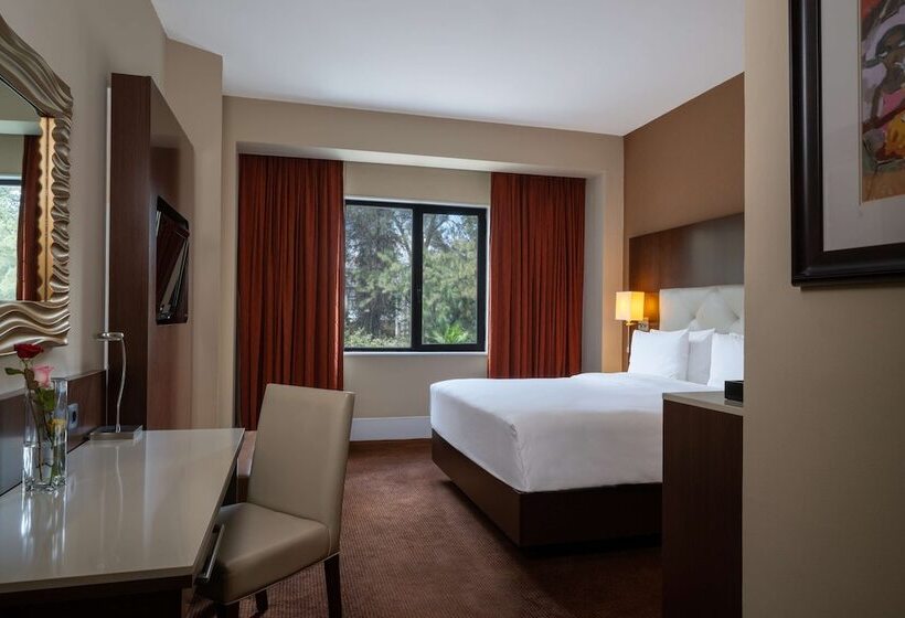 اتاق اجرایی, Radisson Blu Hotel, Addis Ababa